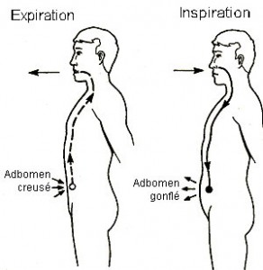 La Respiration Abdominale